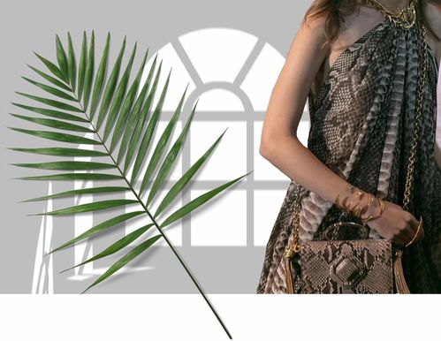 女星同款竟顯胖，胖太太服飾為何持續走紅？